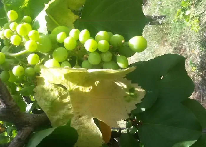 Costa Citara