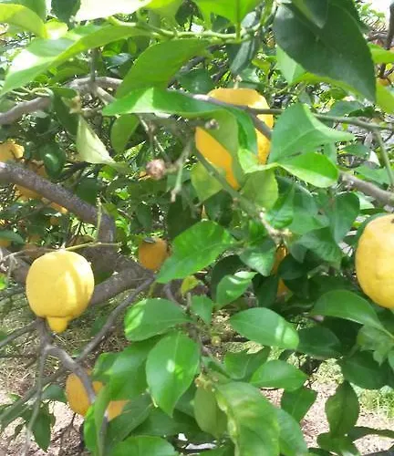 Hotell Costa Citara 3*