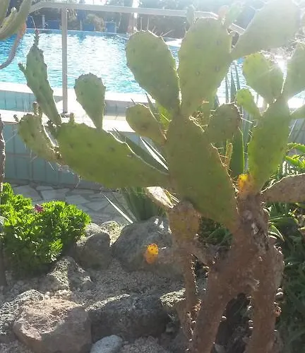 Costa Citara