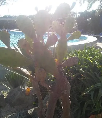 Costa Citara Отель 3*