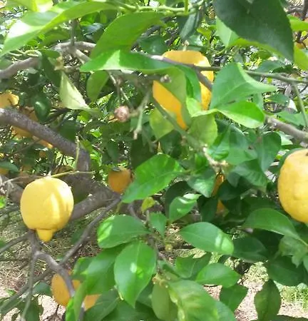 호텔 Costa Citara 3*