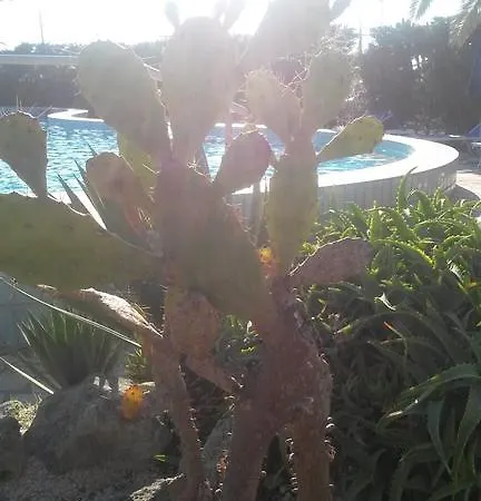 Costa Citara 호텔 3*